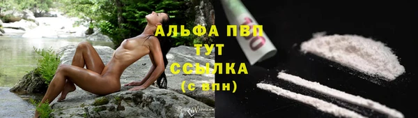 прущие грибы Алексеевка