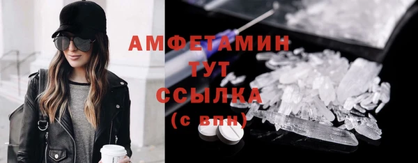 прущие грибы Алексеевка