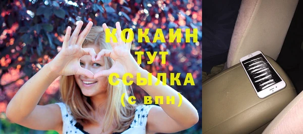 соль ск Алексин