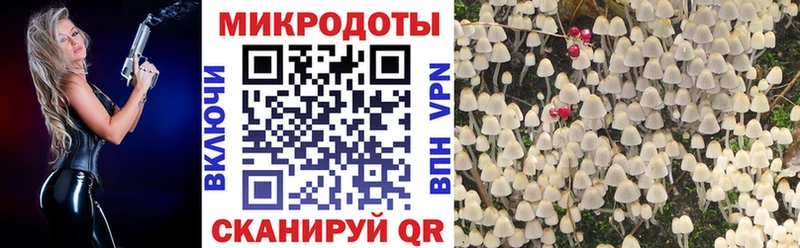 Галлюциногенные грибы мицелий Таруса